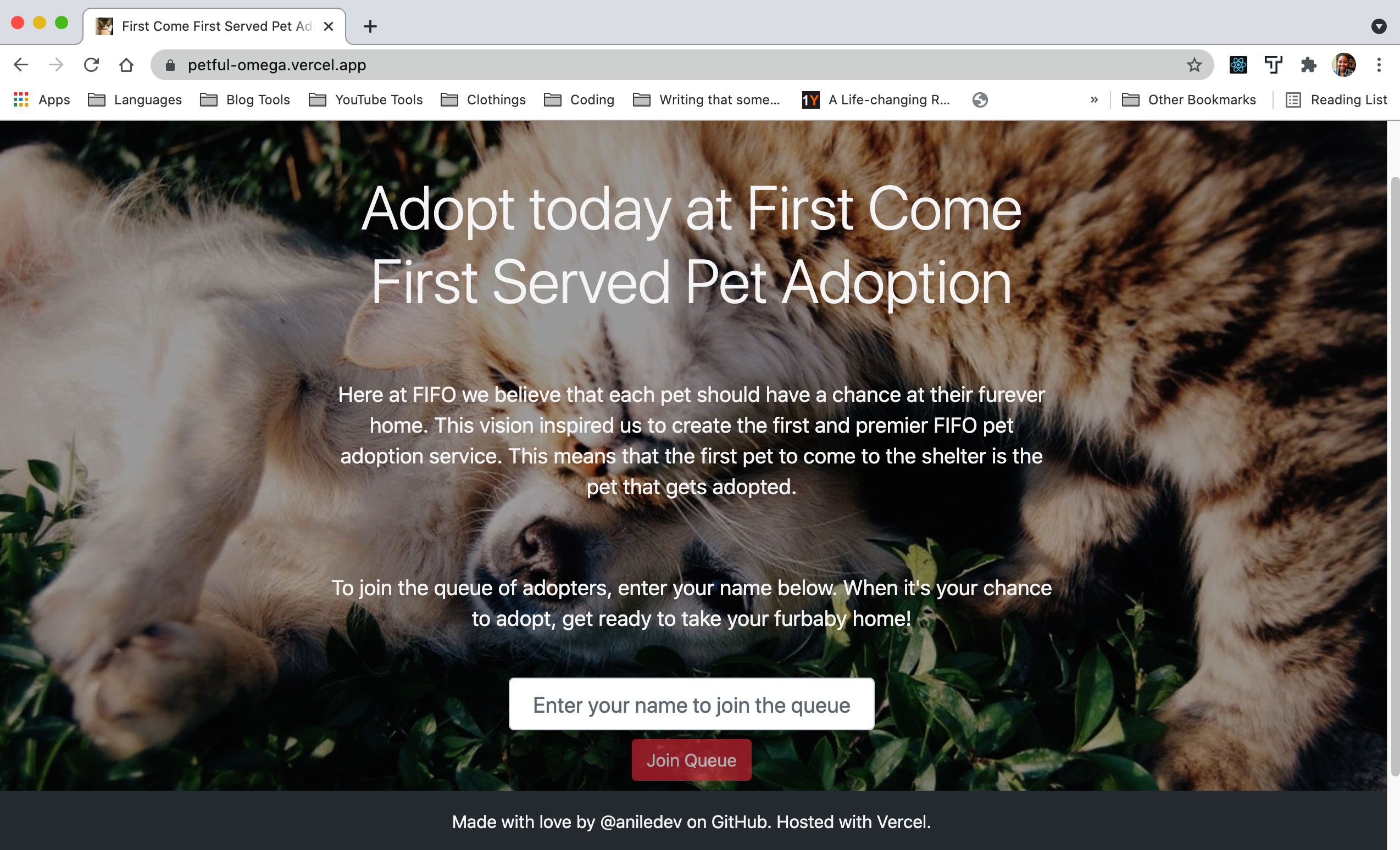Screenshot of pet adoption website that features large background of cat and dog laying on grass playfully.