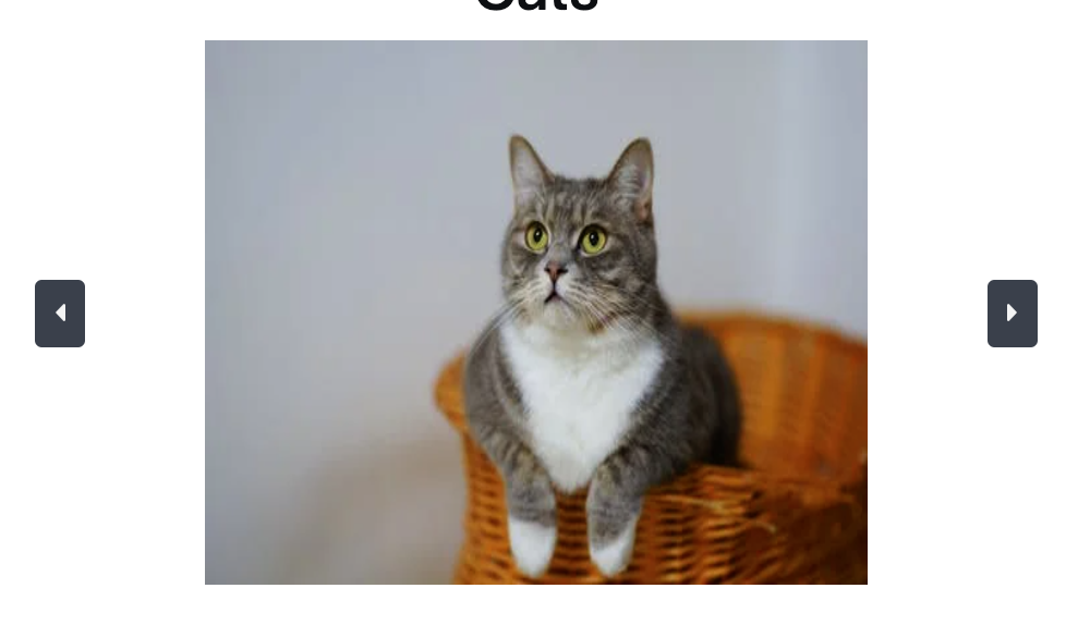 A picture of a cat with description of the cat underneath.